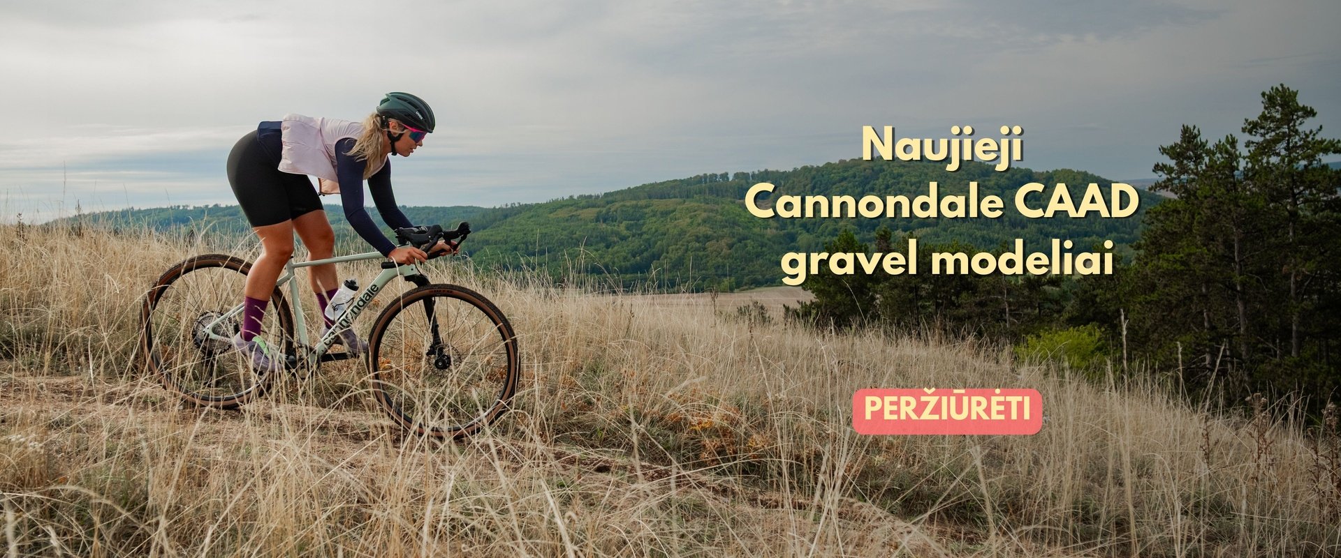 CAAD Gravel dviračiai