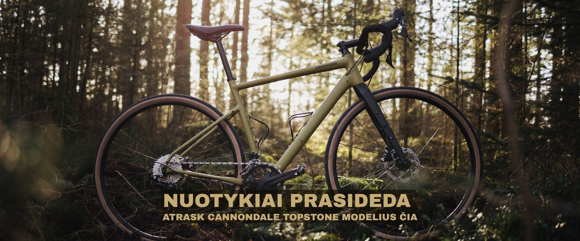 Cannondale Topstone