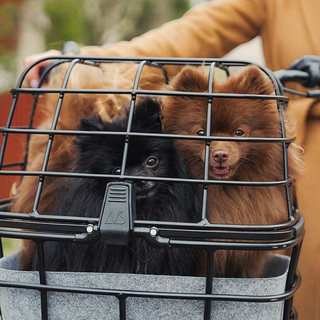 Krep&scaron;ys ant bagažinės ir priekio AtranVelo DUO // 25L, 45x27x35 cm, AVS fiksacija (juoda) 1