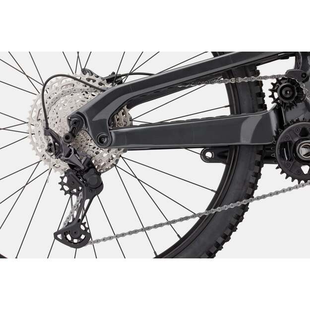 Pilnos amortizacijos dviratis CANNONDALE JEKYLL 29 CARBON 2 (C21202U10/GRA) 3