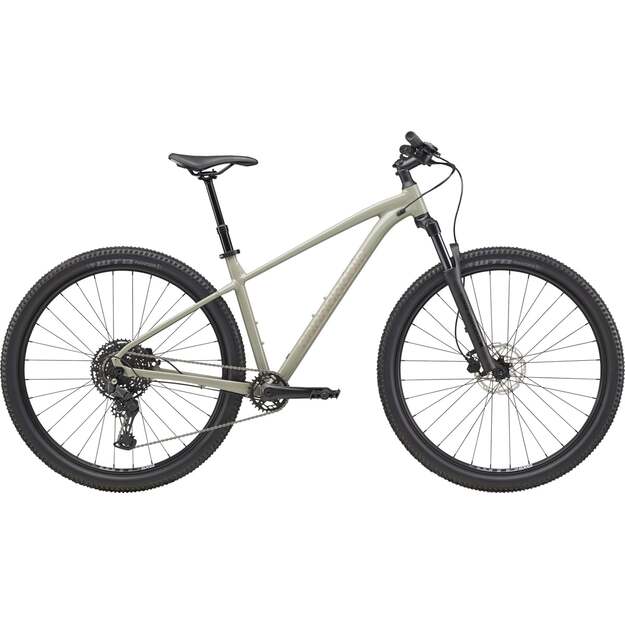 Dviratis CANNONDALE TRAIL 1 (C26055U30/TSK)