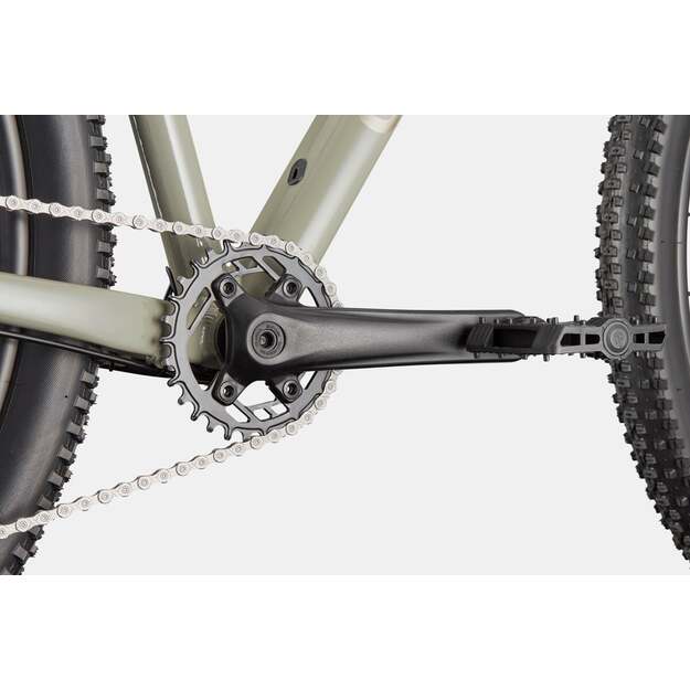 Dviratis CANNONDALE TRAIL 1 (C26055U30/TSK) 4