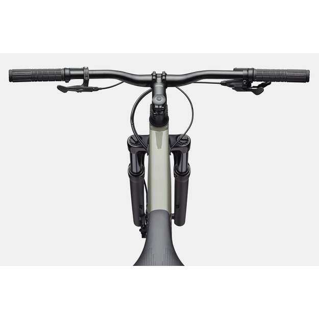 Dviratis CANNONDALE TRAIL 1 (C26055U30/TSK) 3