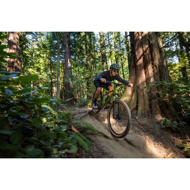 Dviratis GIANT Talon 2, 27.5  XS, džiovinta matcha