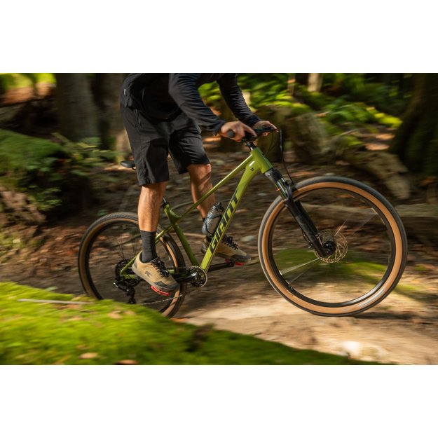Dviratis GIANT Talon 2, 27.5  XS, džiovinta matcha