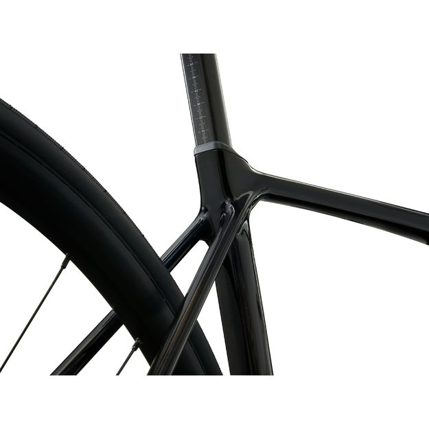Plento dviratis GIANT TCR Advanced 2 KOM, anglies pluošto