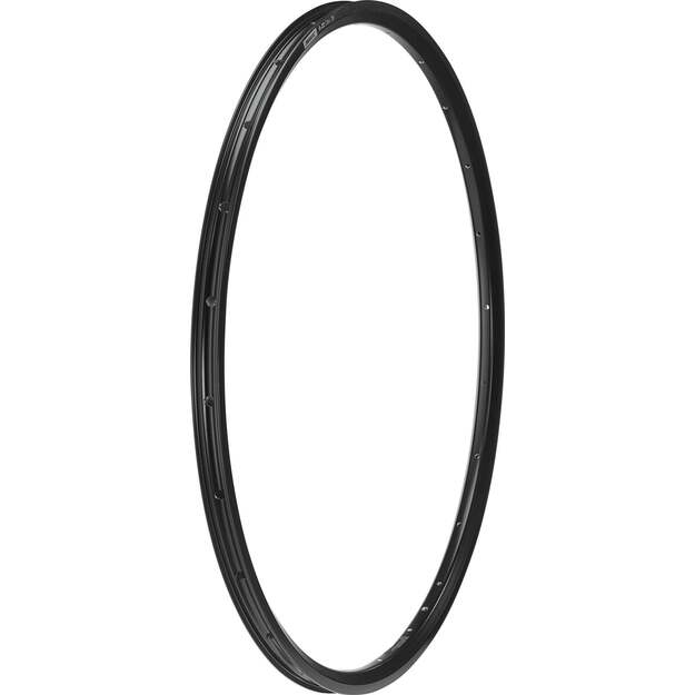MAVIC R&Aacute;FEK A-22 DISC 29 32H (J00118632)