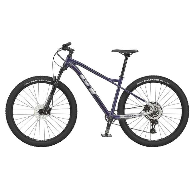 Dviratis GT AVALANCHE 29  EXPERT (G27101M20/PUR) 2