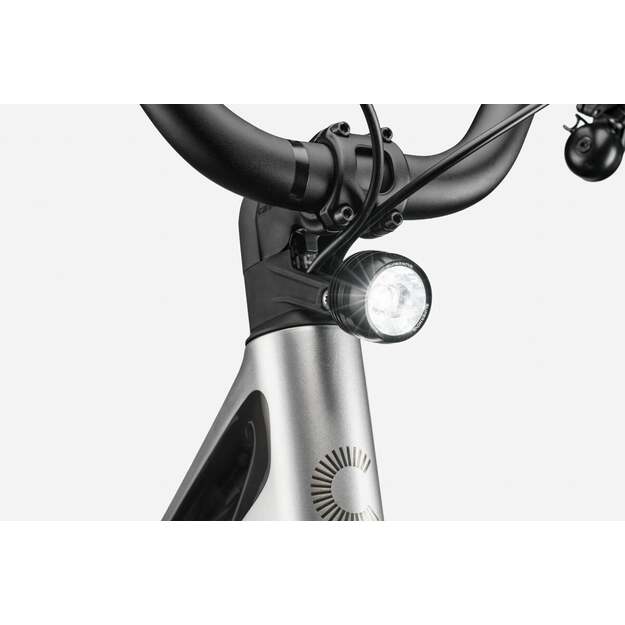 Elektrinis dviratis CANNONDALE FLYINGV 1 (C64125U10/SLV) 4