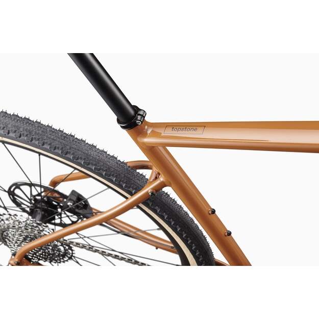 Dviratis CANNONDALE TOPSTONE APEX 1 (C15652U20/CIN) 5