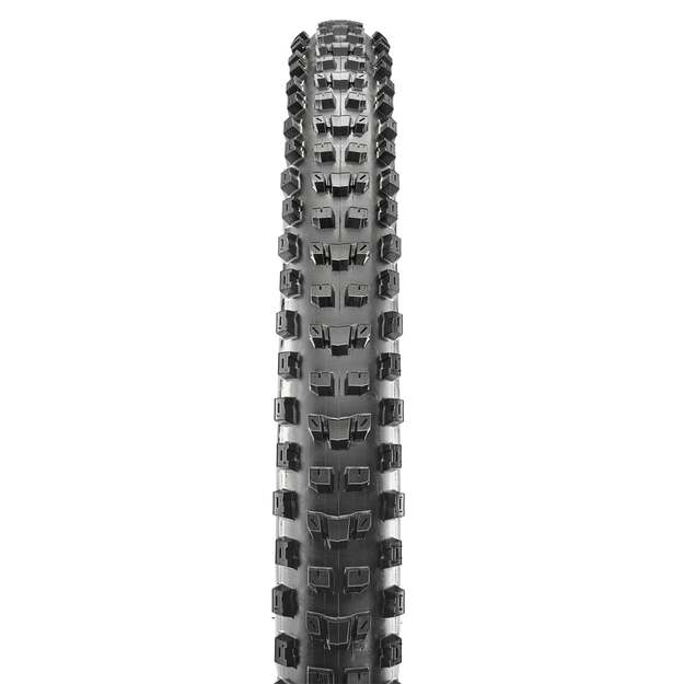 MAXXIS TIRE DISSECTOR 29X2.60 FOLDABLE 3CT/EXO/TR (ETB00237000) 1