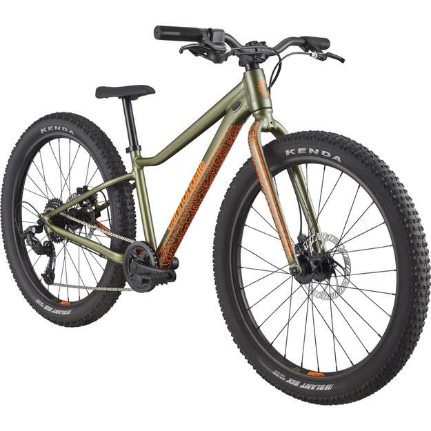 Vaikiškas dviratis CANNONDALE KIDS TRAIL PLUS 24  (C51102U10/MAT) 1