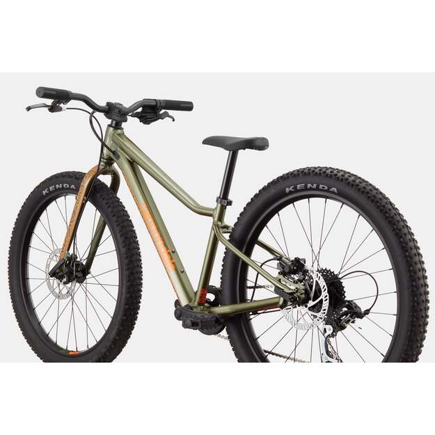 Vaikiškas dviratis CANNONDALE KIDS TRAIL PLUS 24  (C51102U10/MAT) 2