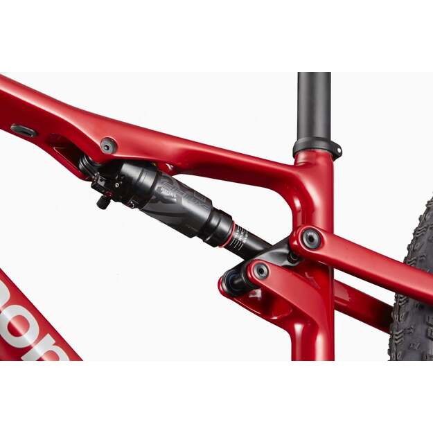 Dviratis CANNONDALE SCALPEL 29  CARBON 4 (C24504U30/MRD) 7