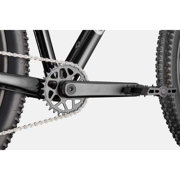 Dviratis CANNONDALE TRAIL 2 (C26065U10/BLK) 4