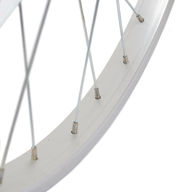 Priekinis ratas 20  // V-Brake, 28H, veržlė, viengubas, aliuminis, sidabrinis 2