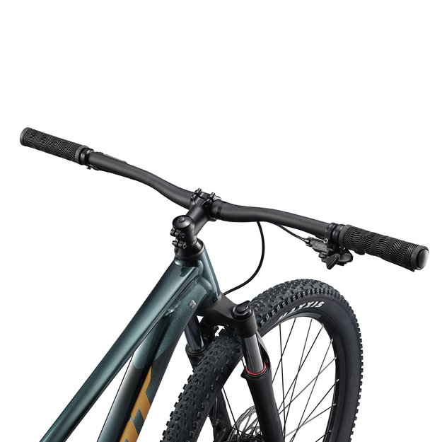 GIANT Talon 2 29  // 9G, dydis 18  (45 cm) (tamsiai žalia - Asphalt Green)