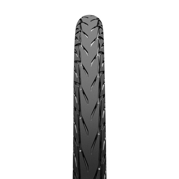 Padanga Continental Contact Plus City Reflex 28x1.60 (42-622) 2