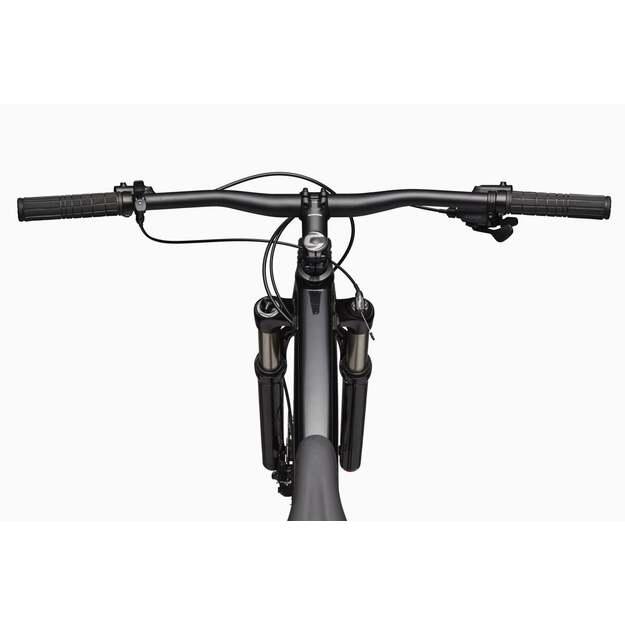 Dviratis CANNONDALE TRAIL 29  SL 4 (C26452M10/GRY) 3