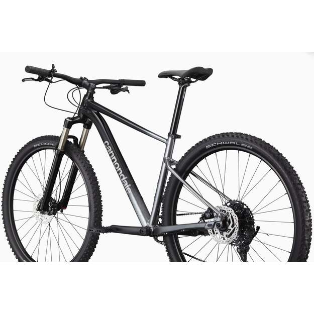 Dviratis CANNONDALE TRAIL 29  SL 4 (C26452M10/GRY) 2