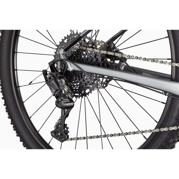 Dviratis CANNONDALE TRAIL 29  SL 4 (C26452M10/GRY) 5