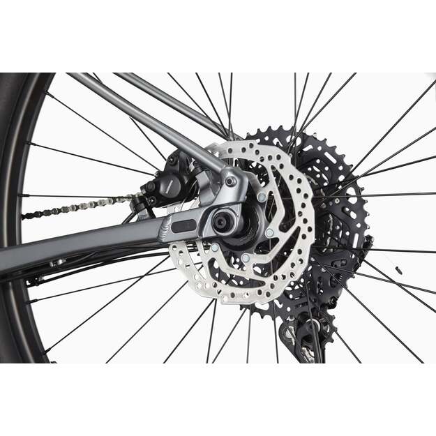 Dviratis CANNONDALE TRAIL 29  SL 4 (C26452M10/GRY) 4