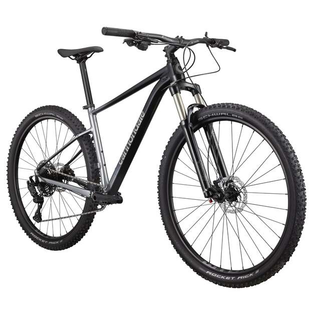 Dviratis CANNONDALE TRAIL 29  SL 4 (C26452M10/GRY) 1