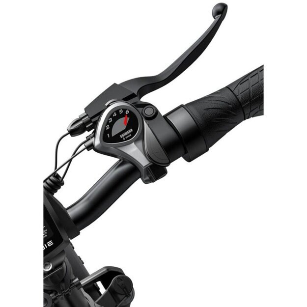 Sulankstomas elektrinis dviratis Engwe EP-2 PRO 750Wh 20" pilkas 6