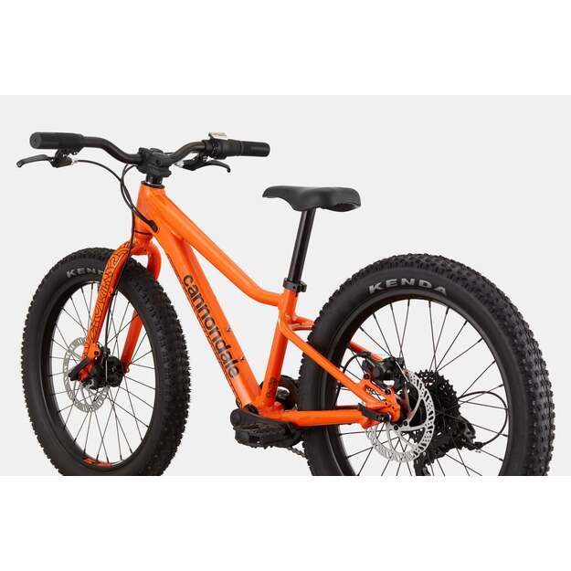 Vaikiškas dviratis CANNONDALE KIDS TRAIL PLUS 20  (C51152U10/ORG) 2