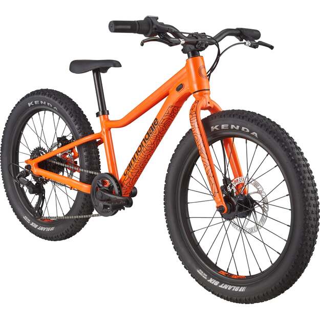 Vaikiškas dviratis CANNONDALE KIDS TRAIL PLUS 20  (C51152U10/ORG) 1