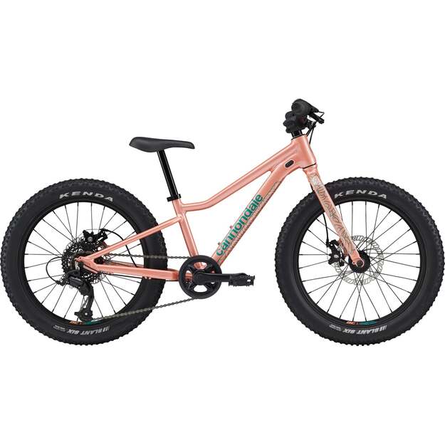 Vaikiškas dviratis CANNONDALE KIDS TRAIL PLUS 20  (C51152U20/SAL)