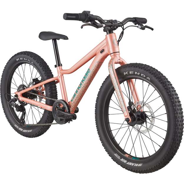 Vaikiškas dviratis CANNONDALE KIDS TRAIL PLUS 20  (C51152U20/SAL) 1