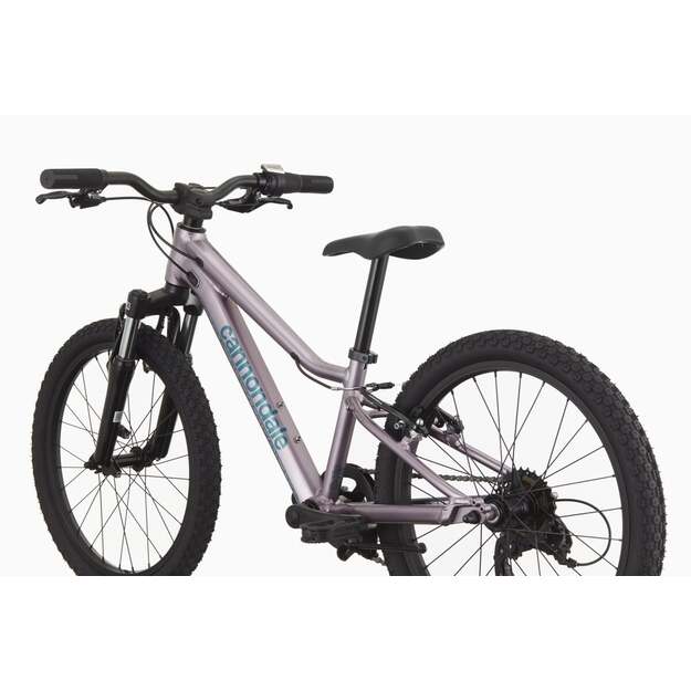 Vaikiškas dviratis CANNONDALE TRAIL 20  (C51652U20/LAV) 2