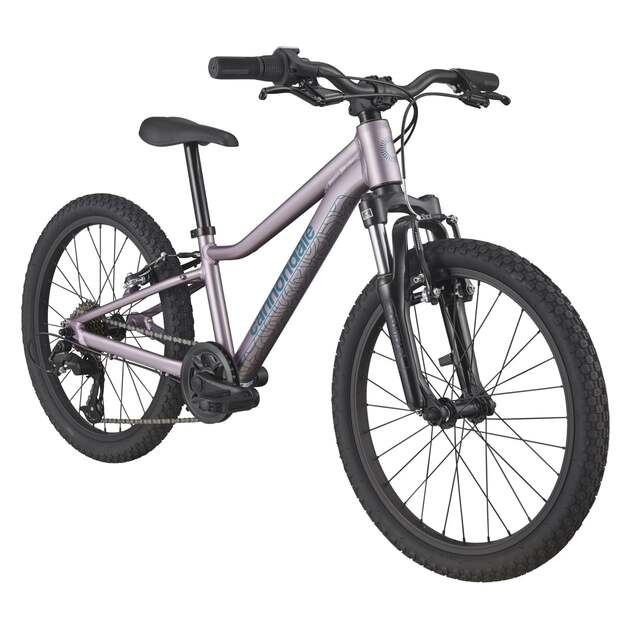 Vaikiškas dviratis CANNONDALE TRAIL 20  (C51652U20/LAV) 1