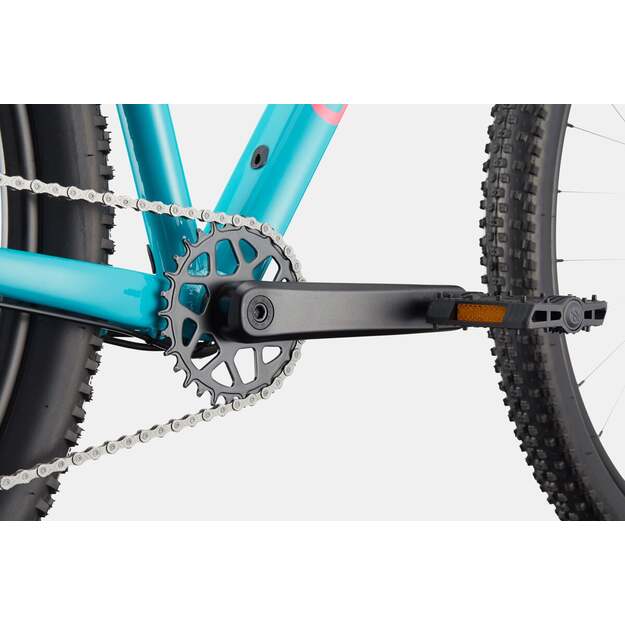 Dviratis CANNONDALE TRAIL 2 (C26065U30/IBL) 4
