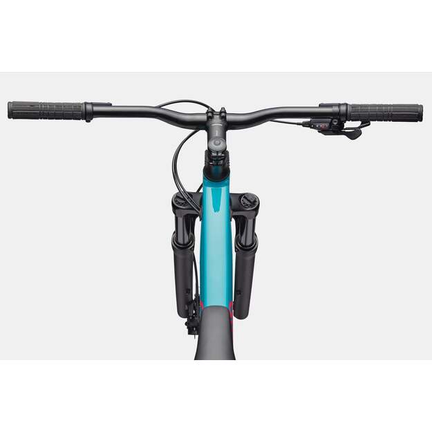 Dviratis CANNONDALE TRAIL 2 (C26065U30/IBL) 3