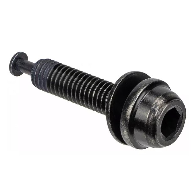 Hidraulinių diskinių stabdžių suporto tvirtinimo varžtas Shimano BR-RS505 C 10mm