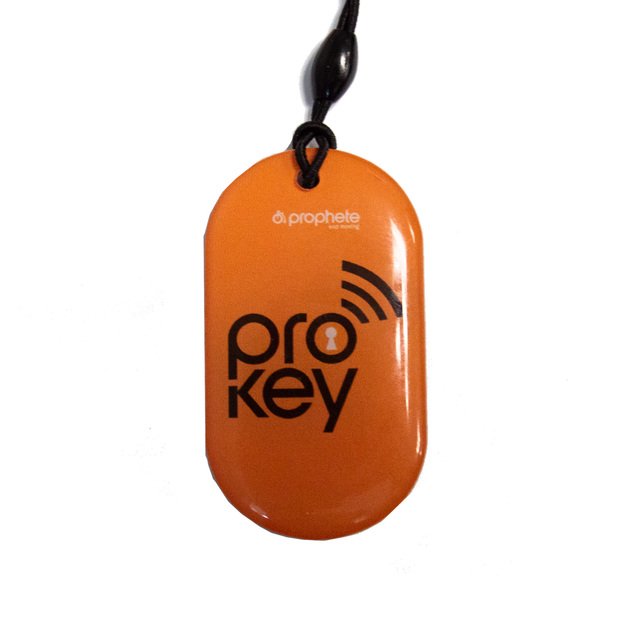 Elektrinis Prophete Entdecker Speed45 10G 28  dydis 21,5  (55cm) (juodas) 1