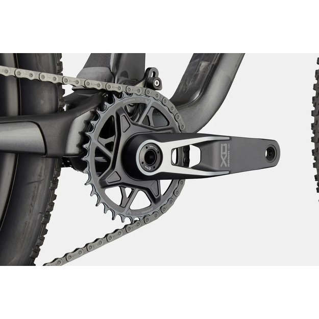 Pilnos amortizacijos dviratis CANNONDALE SCALPEL 29  CARBON 1 (C24203U30/SLV)