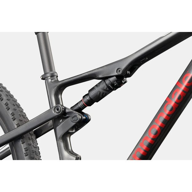 Pilnos amortizacijos dviratis CANNONDALE SCALPEL 29  CARBON 1 (C24203U30/SLV)