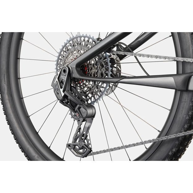 Pilnos amortizacijos dviratis CANNONDALE SCALPEL 29  CARBON 1 (C24203U30/SLV)