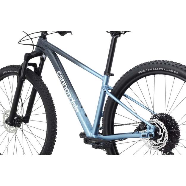 Dviratis CANNONDALE TRAIL 29  SL 3 WOMENS (C26151F10/SLT) 2