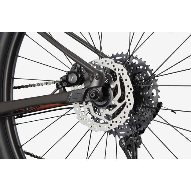 Dviratis CANNONDALE TRAIL 29  SL 4 (C26452M20/ORG) 5