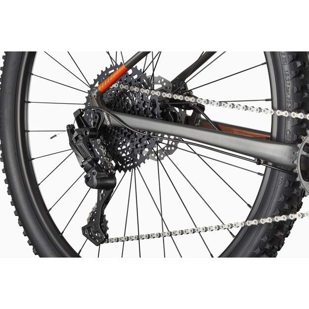 Dviratis CANNONDALE TRAIL 29  SL 4 (C26452M20/ORG) 4