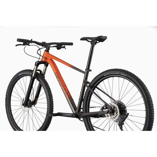 Dviratis CANNONDALE TRAIL 29  SL 4 (C26452M20/ORG) 2