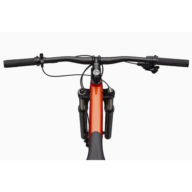 Dviratis CANNONDALE TRAIL 29  SL 4 (C26452M20/ORG) 3