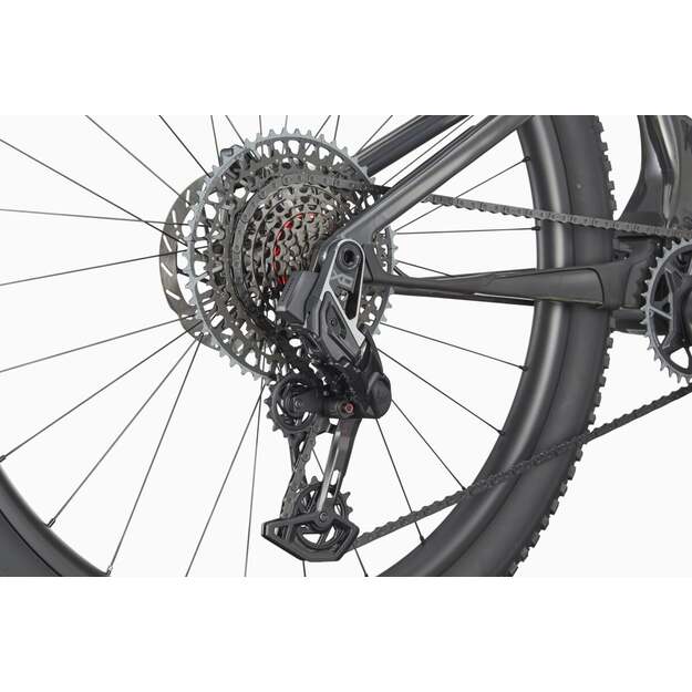 Pilnos amortizacijos dviratis CANNONDALE SCALPEL 29  CARBON 1 (C24203U10/RAW) 11