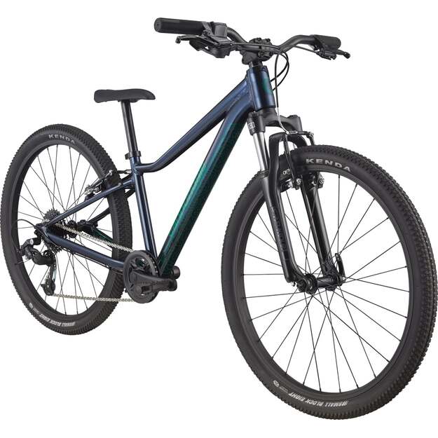 Vaikiškas dviratis CANNONDALE TRAIL 24  (C51602U10/MDN) 1