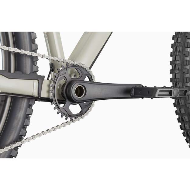 Dviratis CANNONDALE HABIT HT 1 (C26075U10/TSK) 5