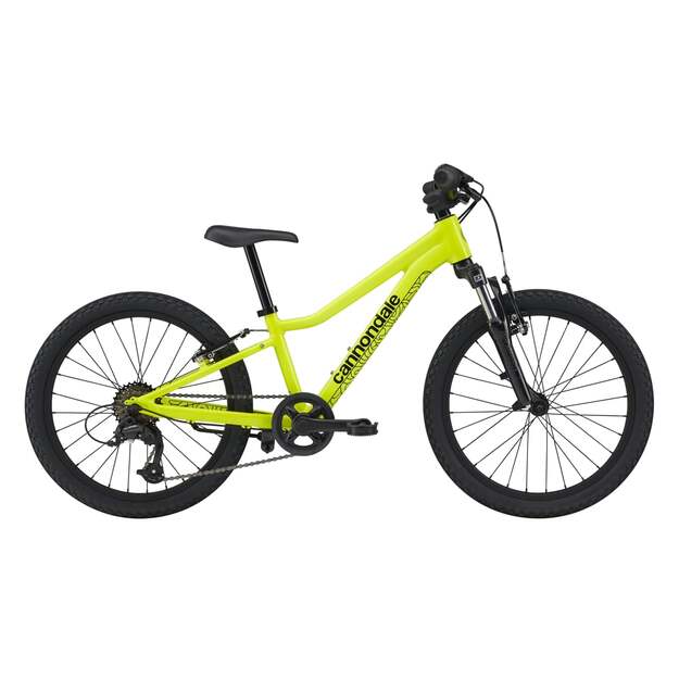 Vaikiškas dviratis CANNONDALE TRAIL 20  (C51652U10/VLT)